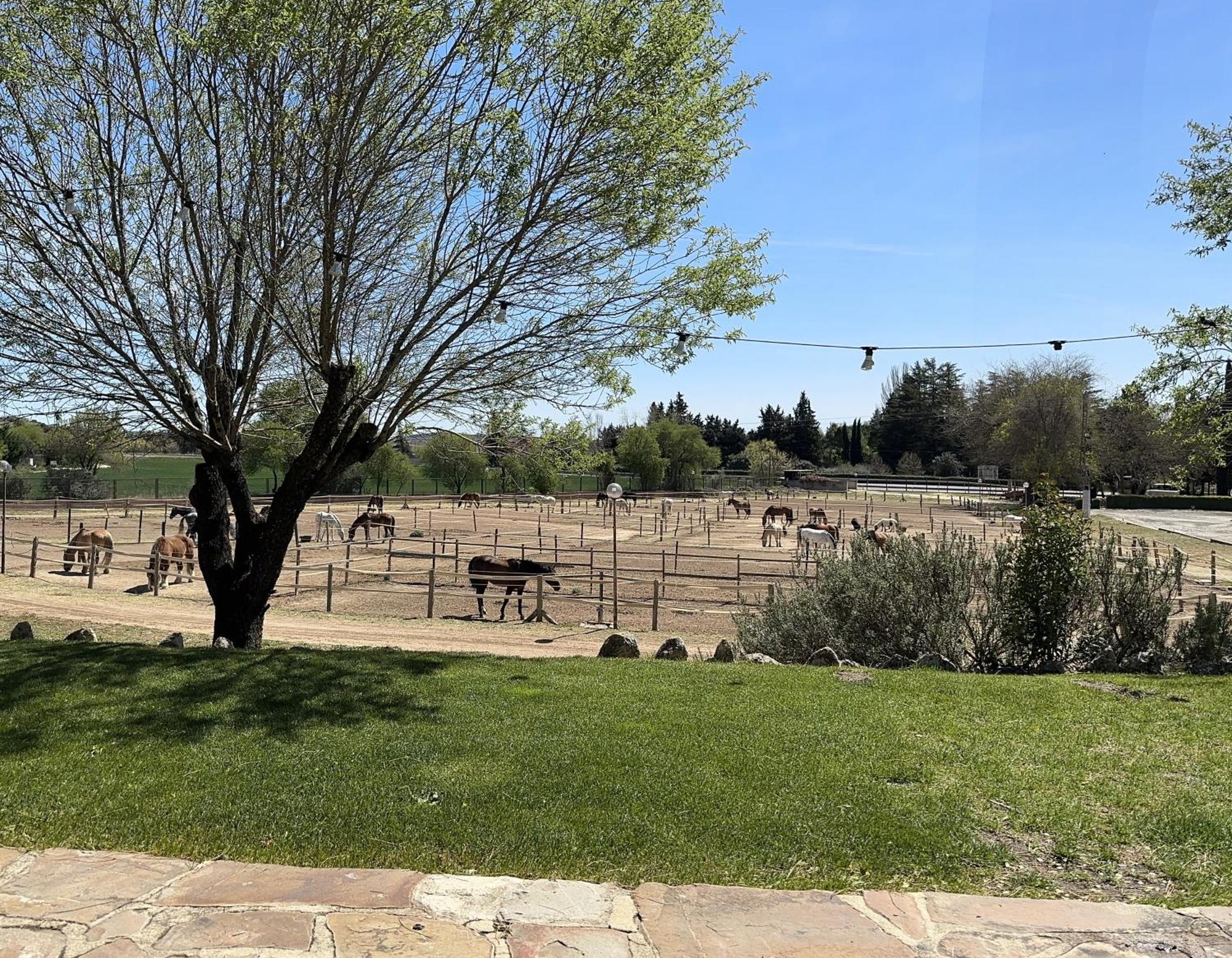 Torrelaguna Bungalow Infanta מראה חיצוני תמונה