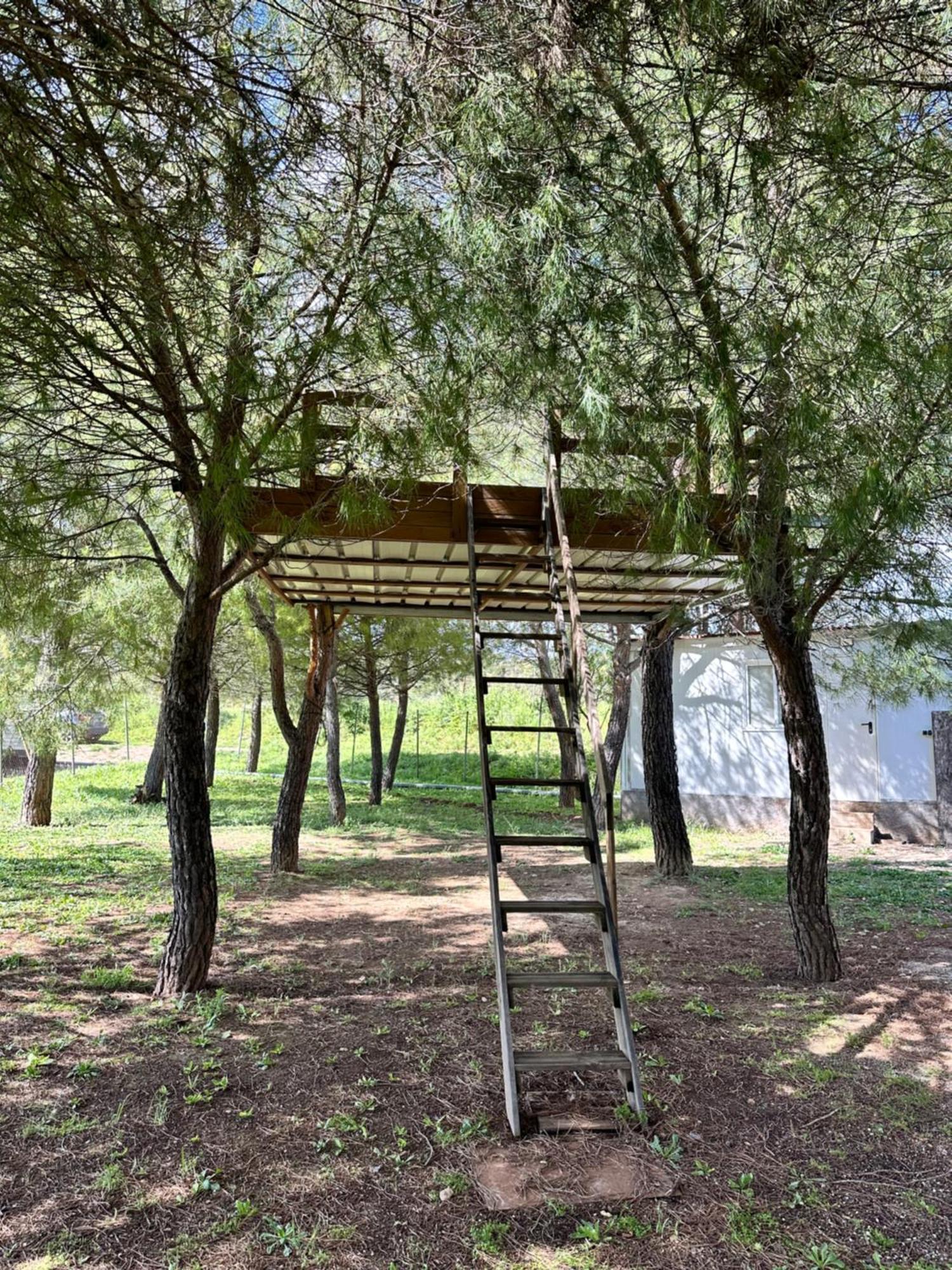 Torrelaguna Bungalow Infanta מראה חיצוני תמונה