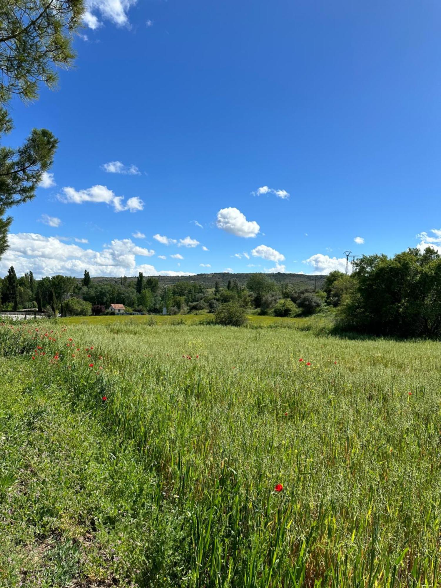 Torrelaguna Bungalow Infanta מראה חיצוני תמונה