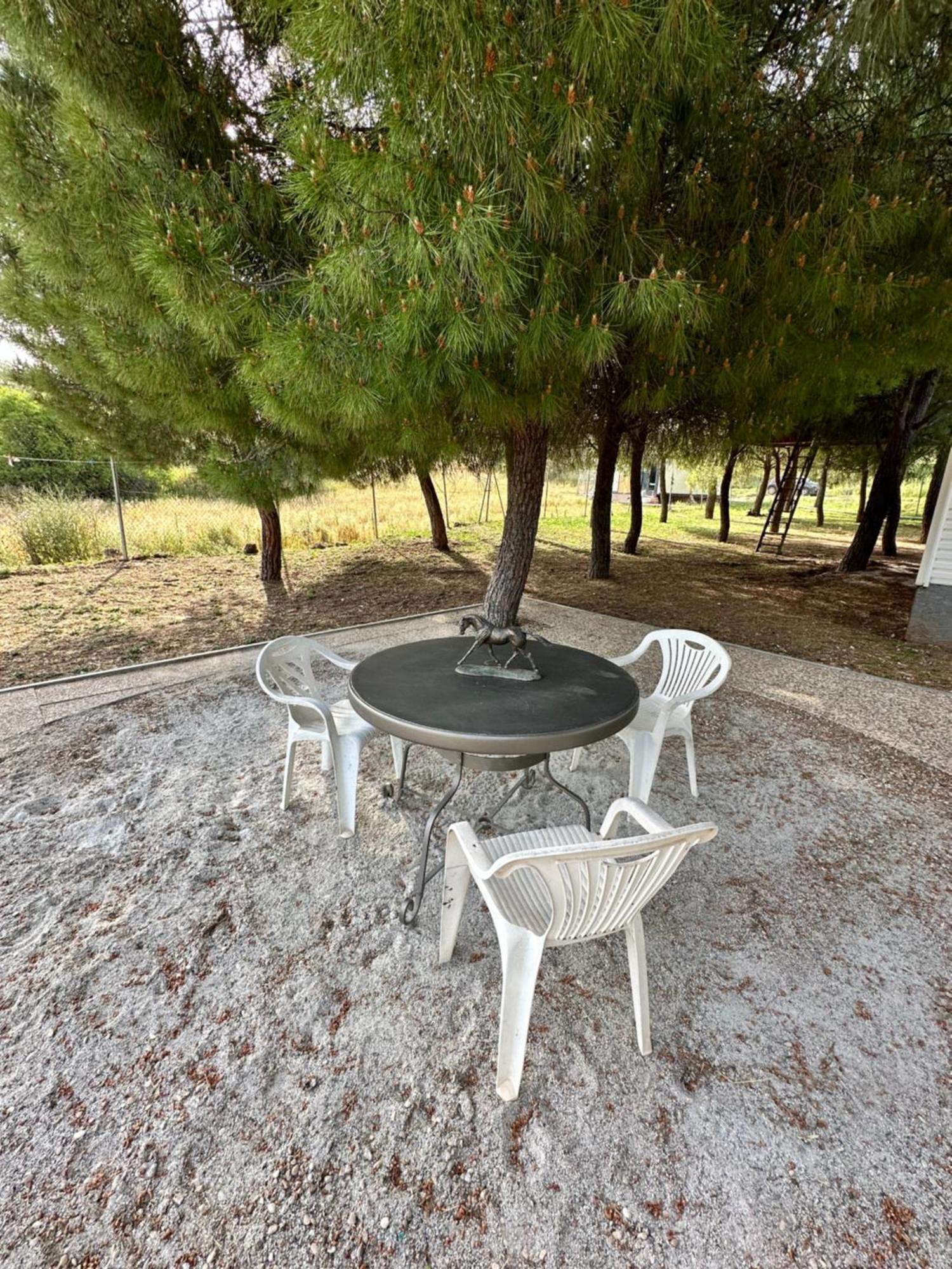 Torrelaguna Bungalow Infanta מראה חיצוני תמונה